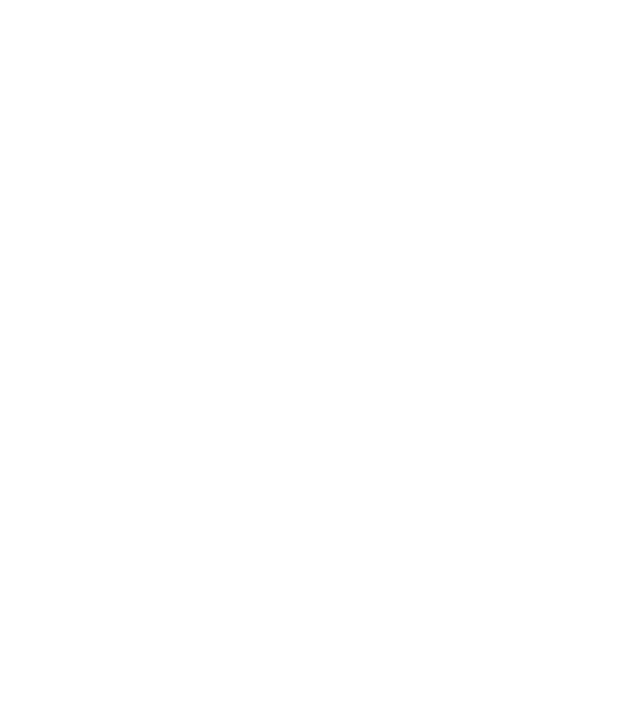 Whatsapp Icon